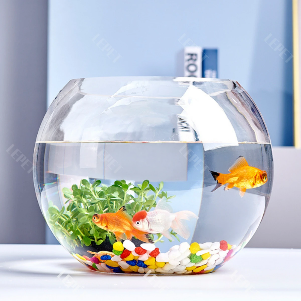 LEPET AQUARIUM MINI KECIL A26-2 / A26-3 AKUARIUM IKAN CUPANG HIAS / KURA-KURA foto 5
