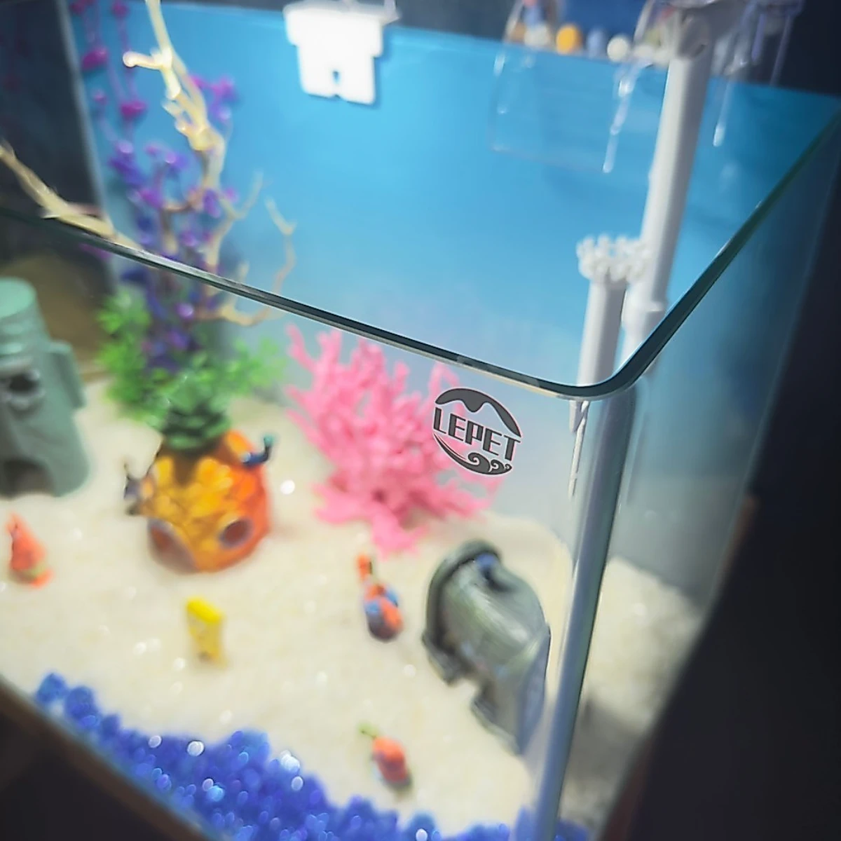 LEPET PAKET AQUARIUM SPONGEBOB 50CM / AQUARIUM MELENGKUNG / AQUASCAPE / AQUARIUM BENDING foto 6