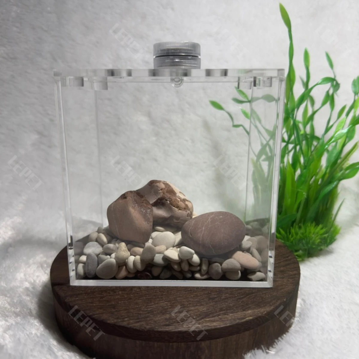 LEPET Akuarium Ikan Cupang 1 skat / Tempat Ikan Kecil Akrilik / Aquarium Mini Acrylic(FREE LAMPU,TUTUP DAN BATU) foto 5