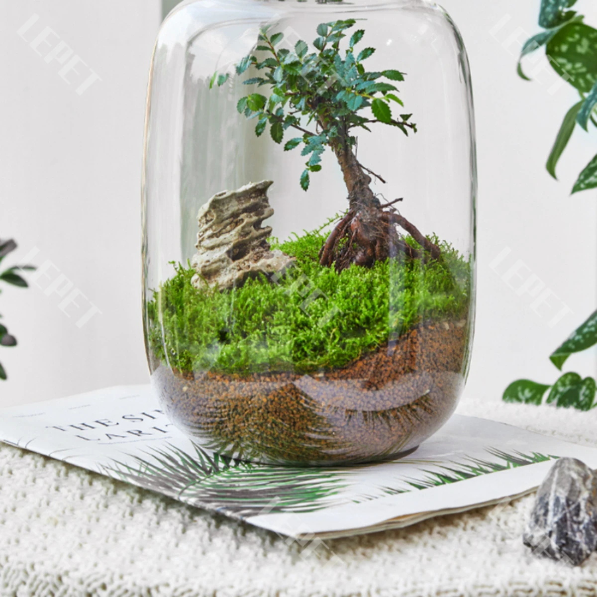 LEPET AQUARIUM MINI KECIL A19 / AKUARIUM IKAN CUPANG HIAS / KURA-KURA foto 5
