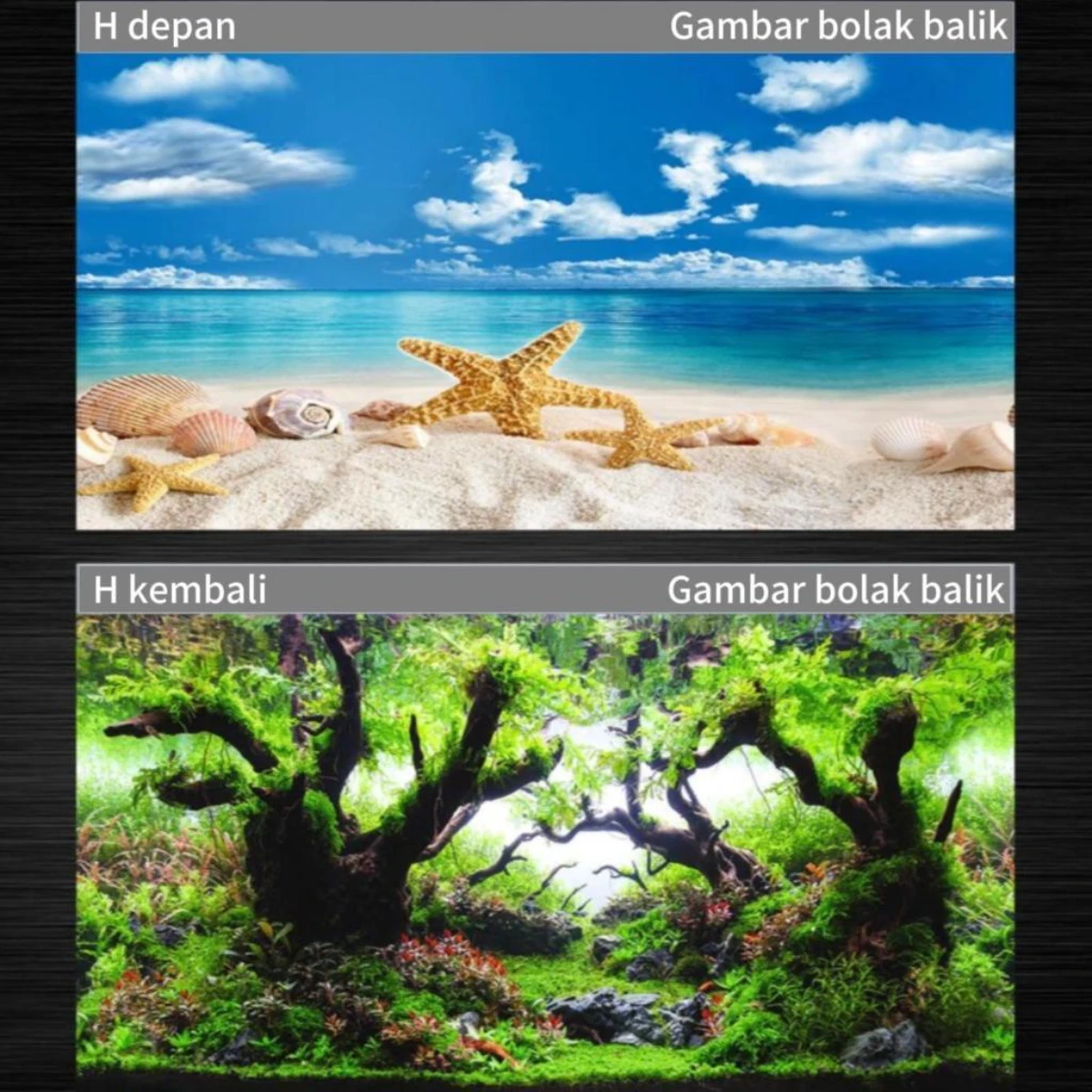 LEPET 50CM STICKER BACKGROUND AQUARIUM 2 SISI motif A,C,E,G,H,K / TIMBAL BALIK /AQUASCAPE / STIKER AKUARIUM / SCOUTLITE foto 6