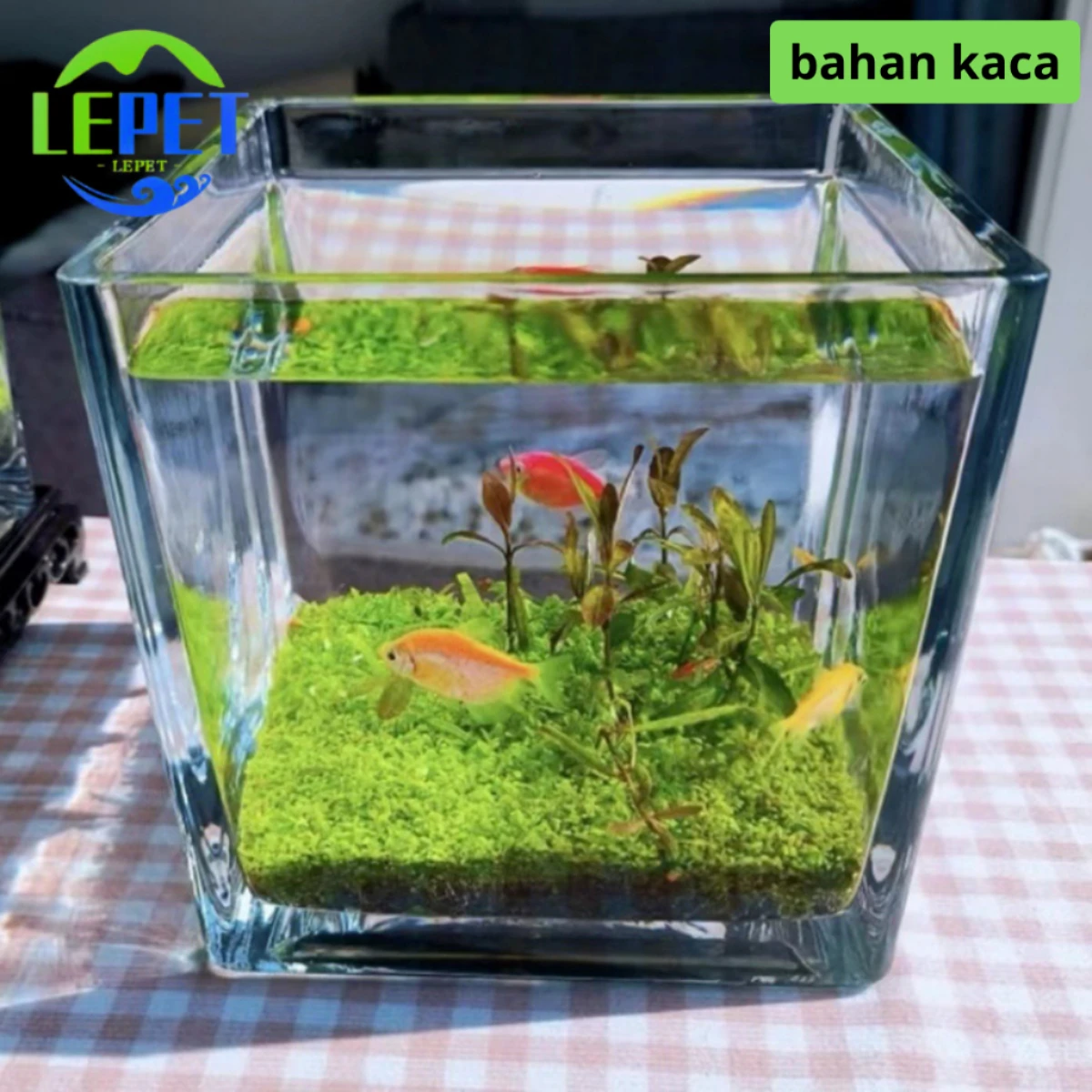 LEPET AQUARIUM MINI KECIL A18 / AKUARIUM IKAN CUPANG HIAS / KURA-KURA foto 5