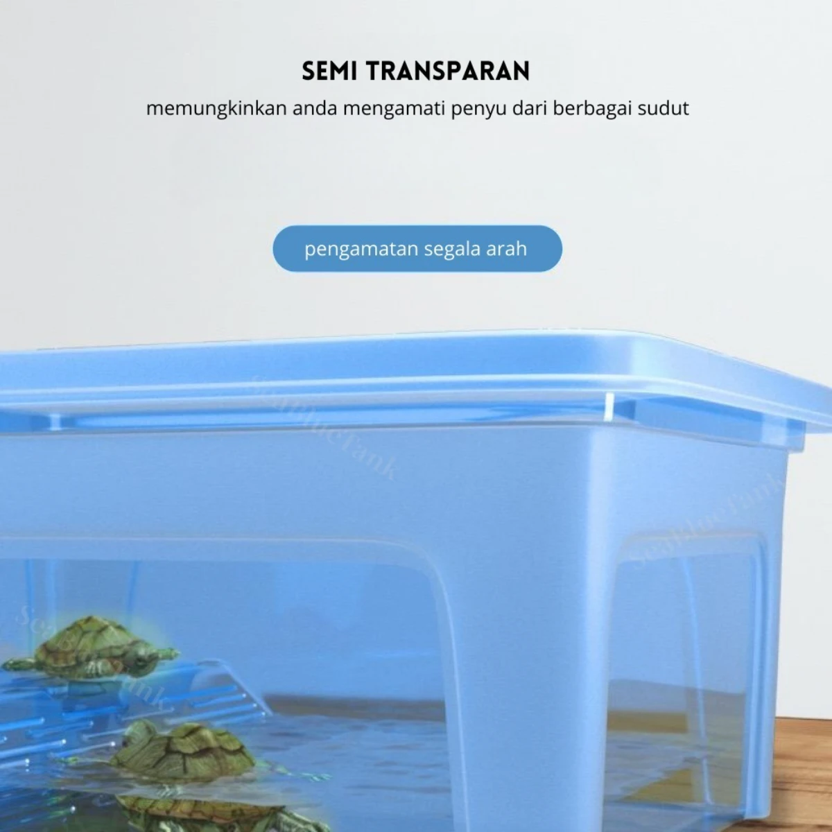 LEPET Tempat Kura Kura WGG-01/02/03 / Turtle Tortoise Aquarium Vivarium Box FEFARM foto 2