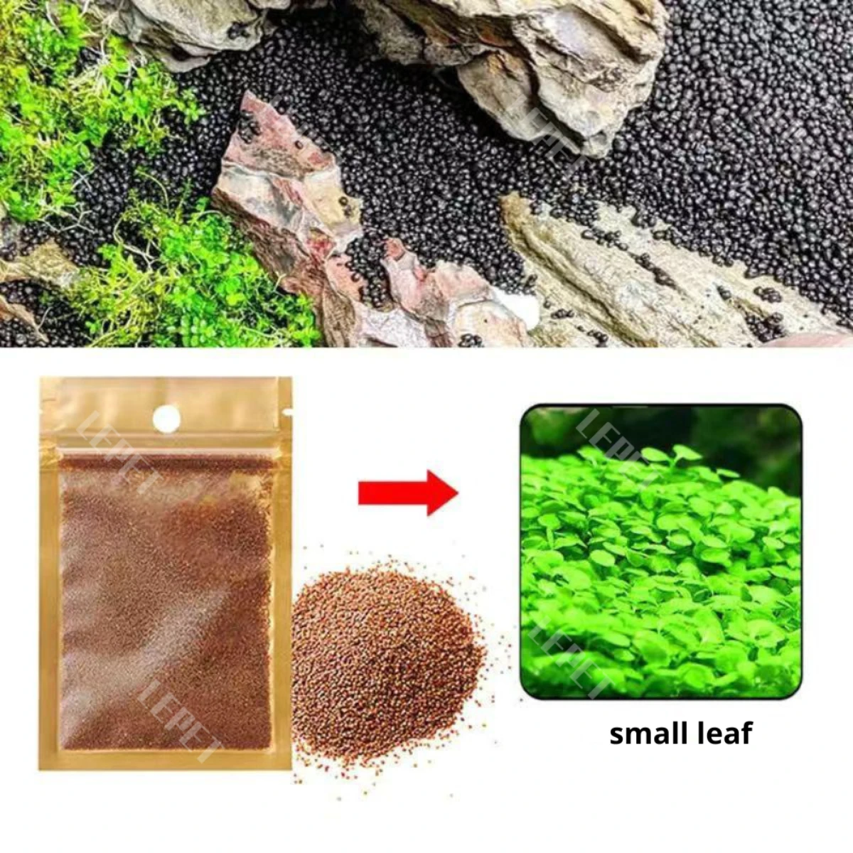 LEPET Bibit Rumput Air Dekorasi Aquarium Landscape Ornament 5g foto 2
