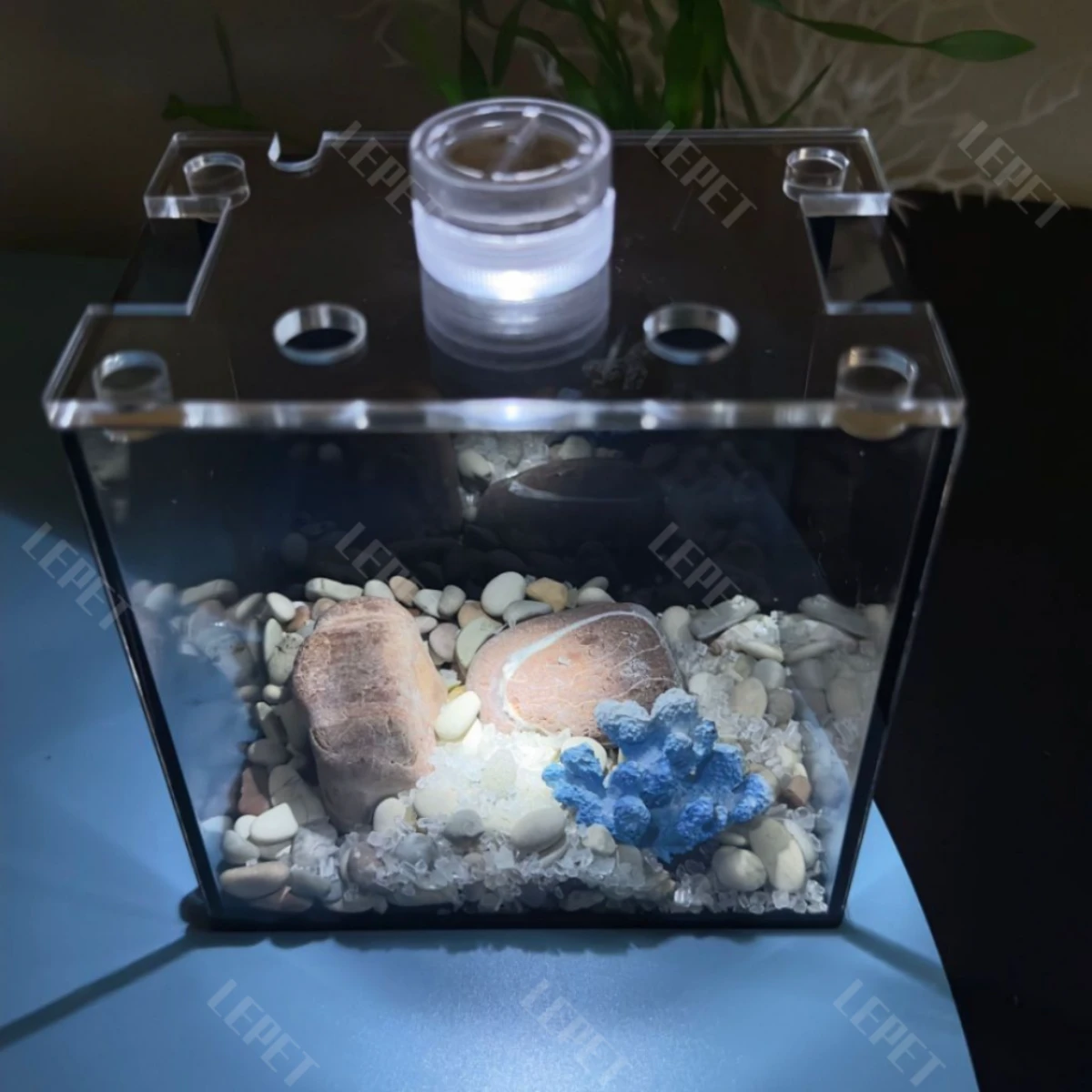 LEPET Akuarium Ikan Cupang 1 skat / Tempat Ikan Kecil Akrilik / Aquarium Mini Acrylic(FREE LAMPU,TUTUP DAN BATU) foto 6