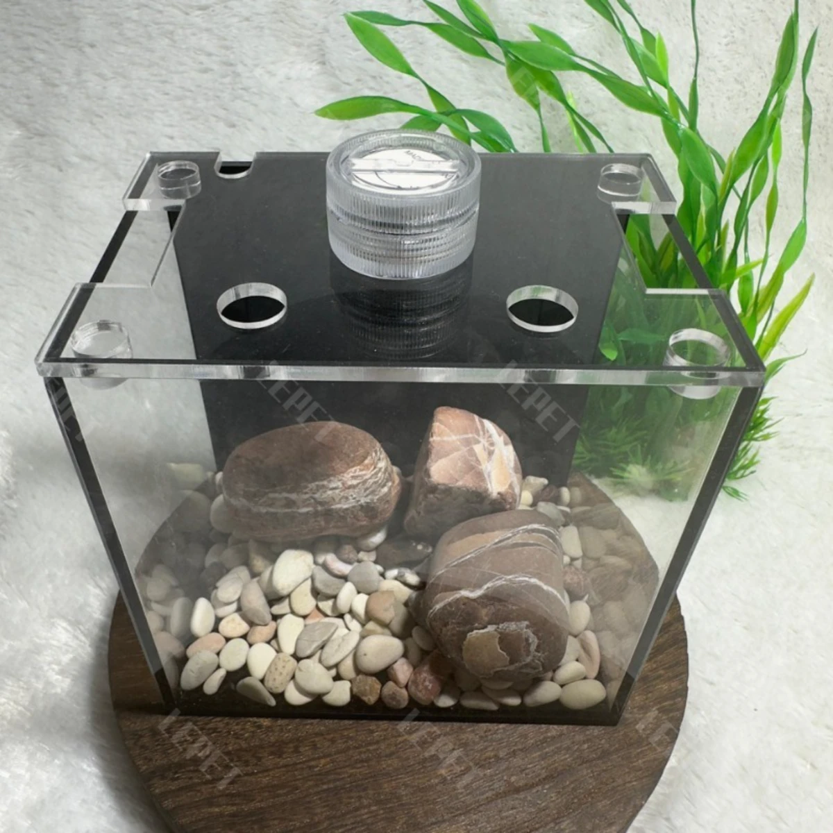 LEPET Akuarium Ikan Cupang 1 skat / Tempat Ikan Kecil Akrilik / Aquarium Mini Acrylic(FREE LAMPU,TUTUP DAN BATU) foto 7