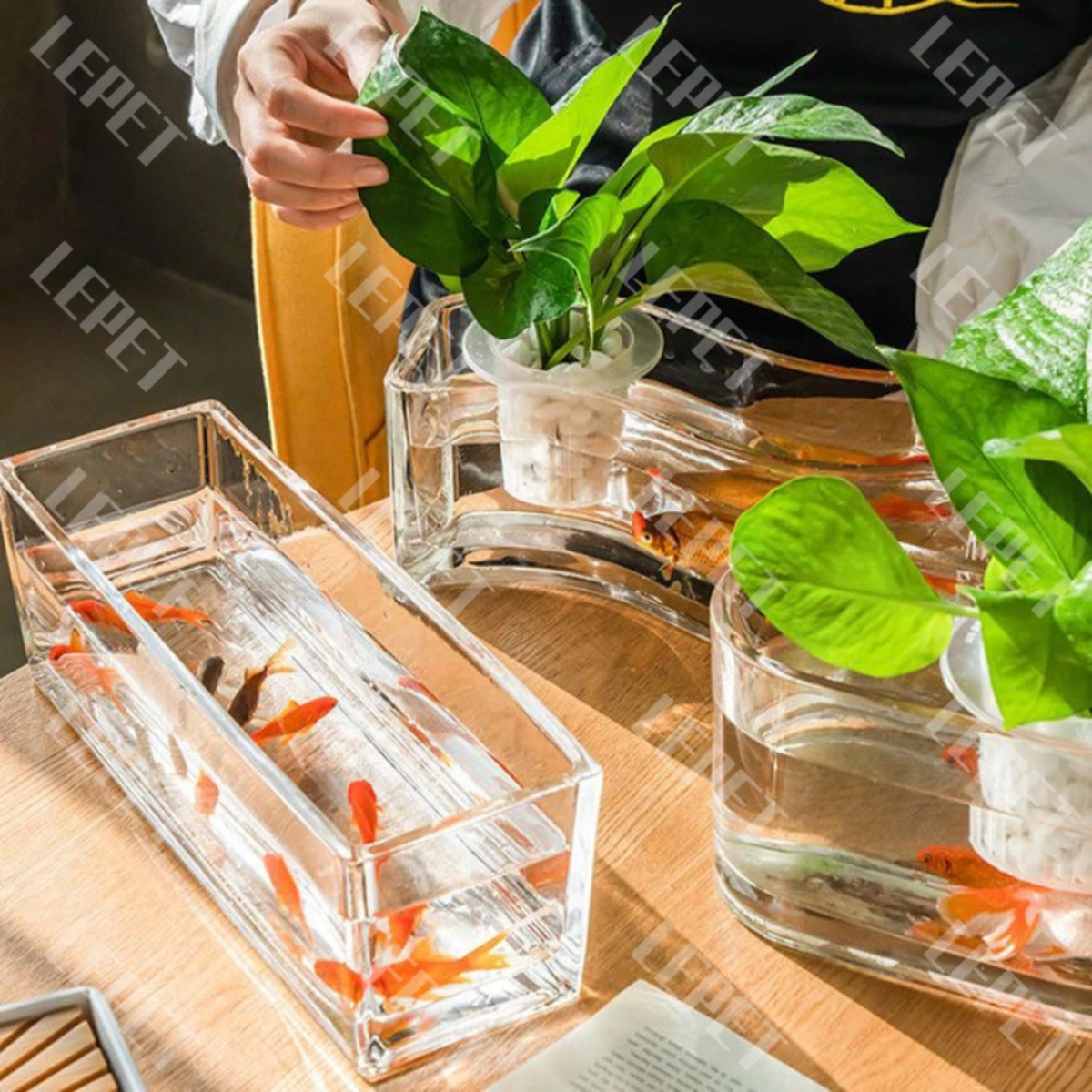LEPET AQUARIUM MINI KECIL A29 /A30 /A31 / AKUARIUM IKAN CUPANG HIAS foto 5