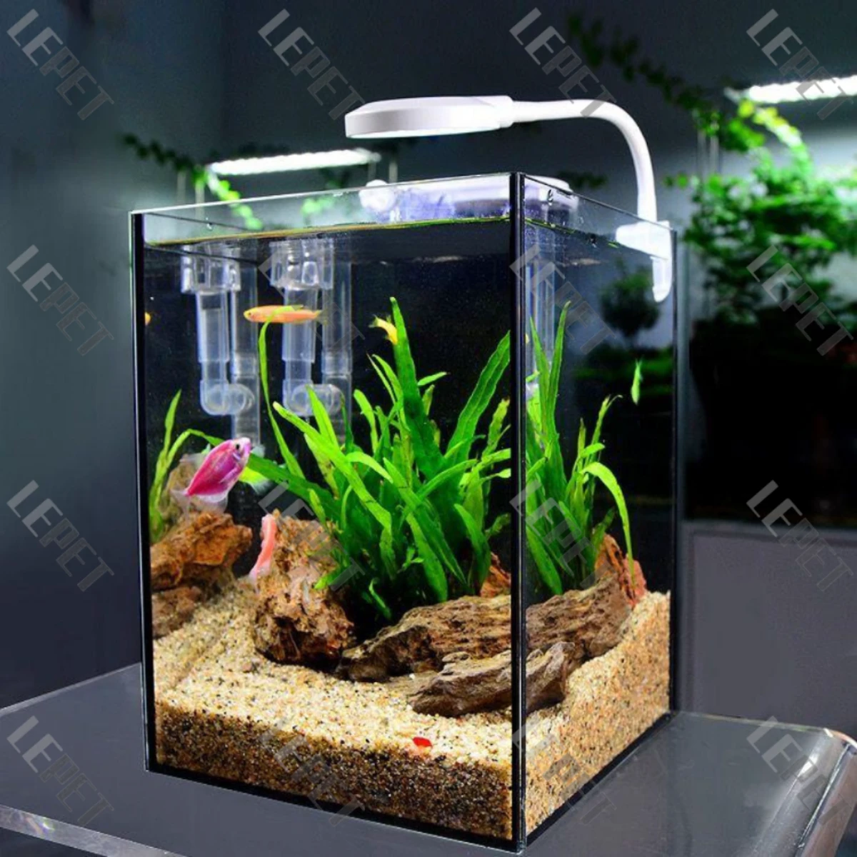 LEPET Akuarium Ikan HB15 / 20 / 25 / Tempat Ikan / Aquarium Mini foto 4