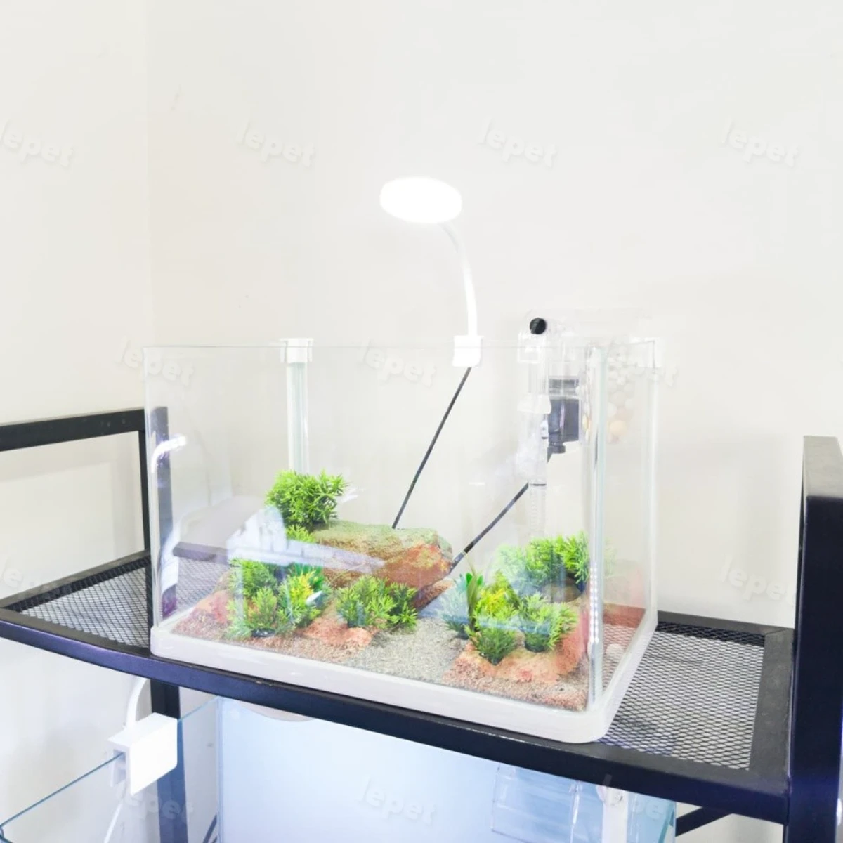 LEPET AQUASCAPE PAKET AP58 / AQUARIUM MELENGKUNG OPTIC CLEAR / AQUASCAPE / AQUARIUM BENDING SUPER BENING foto 3