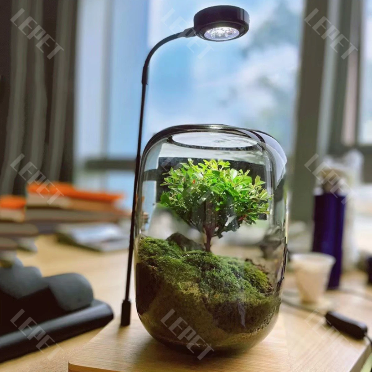 LEPET AQUARIUM MINI KECIL A19 / AKUARIUM IKAN CUPANG HIAS / KURA-KURA foto 3