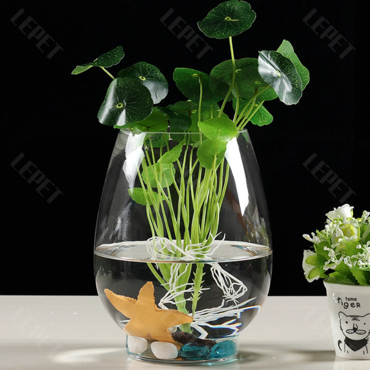 LEPET AQUARIUM MINI KECIL A28L AKUARIUM IKAN CUPANG HIAS foto 2