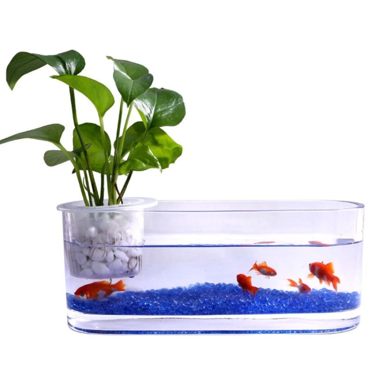 LEPET AQUARIUM MINI KECIL A29 /A30 /A31 / AKUARIUM IKAN CUPANG HIAS foto 8