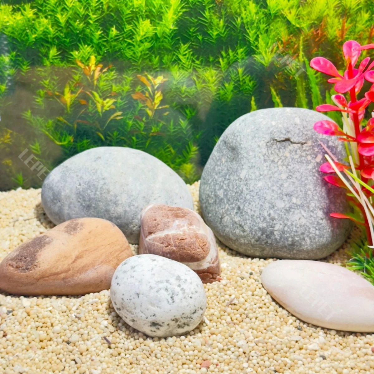 LEPET AQUARIUM PAKET 30 CM / AQUARIUM MELENGKUNG / AQUASCAPE / AQUARIUM BENDING foto 4