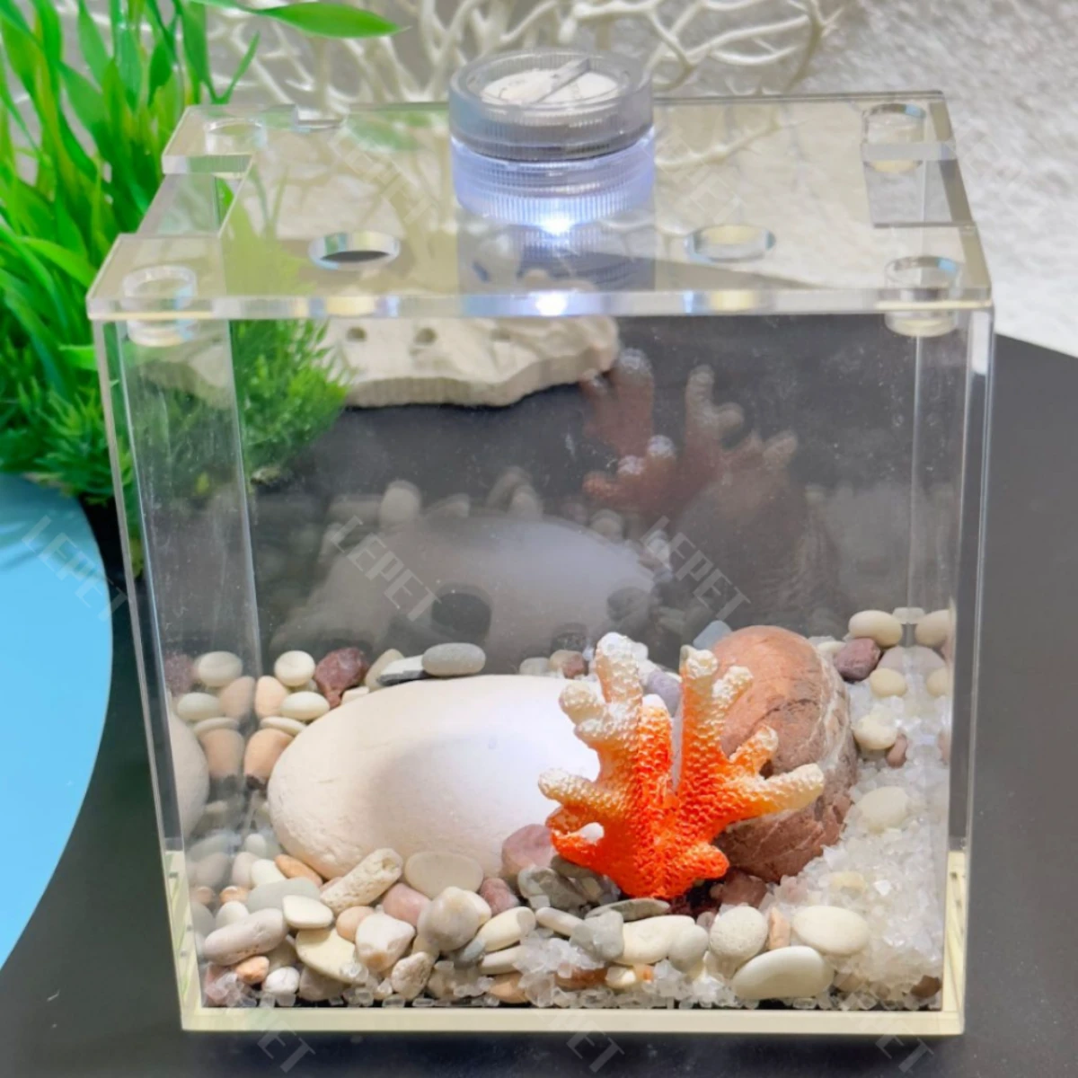 LEPET Akuarium Ikan Cupang 1 skat / Tempat Ikan Kecil Akrilik / Aquarium Mini Acrylic(FREE LAMPU,TUTUP DAN BATU) foto 2