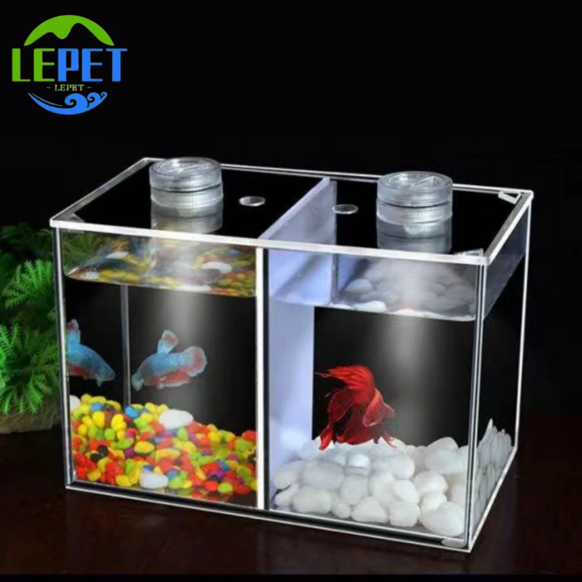 LEPET Akuarium Ikan Cupang 2 skat / Tempat Ikan Kecil Akrilik / Aquarium Mini Acrylic foto 9